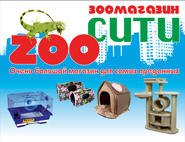 ZooСити, сеть магазинов зоотоваров